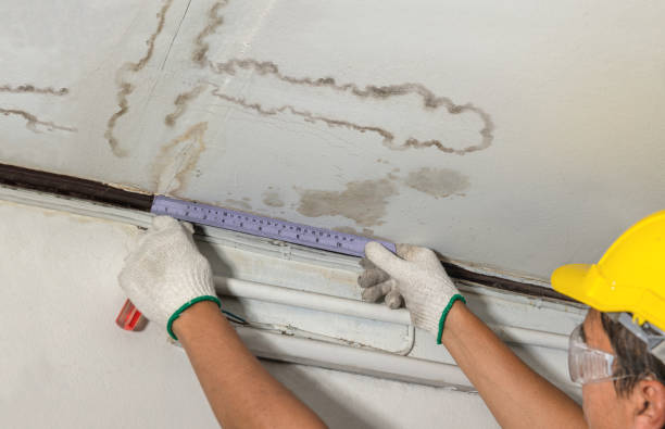 Reliable Water Damage contractor in Oberlin, LA by Water Damage Irwin